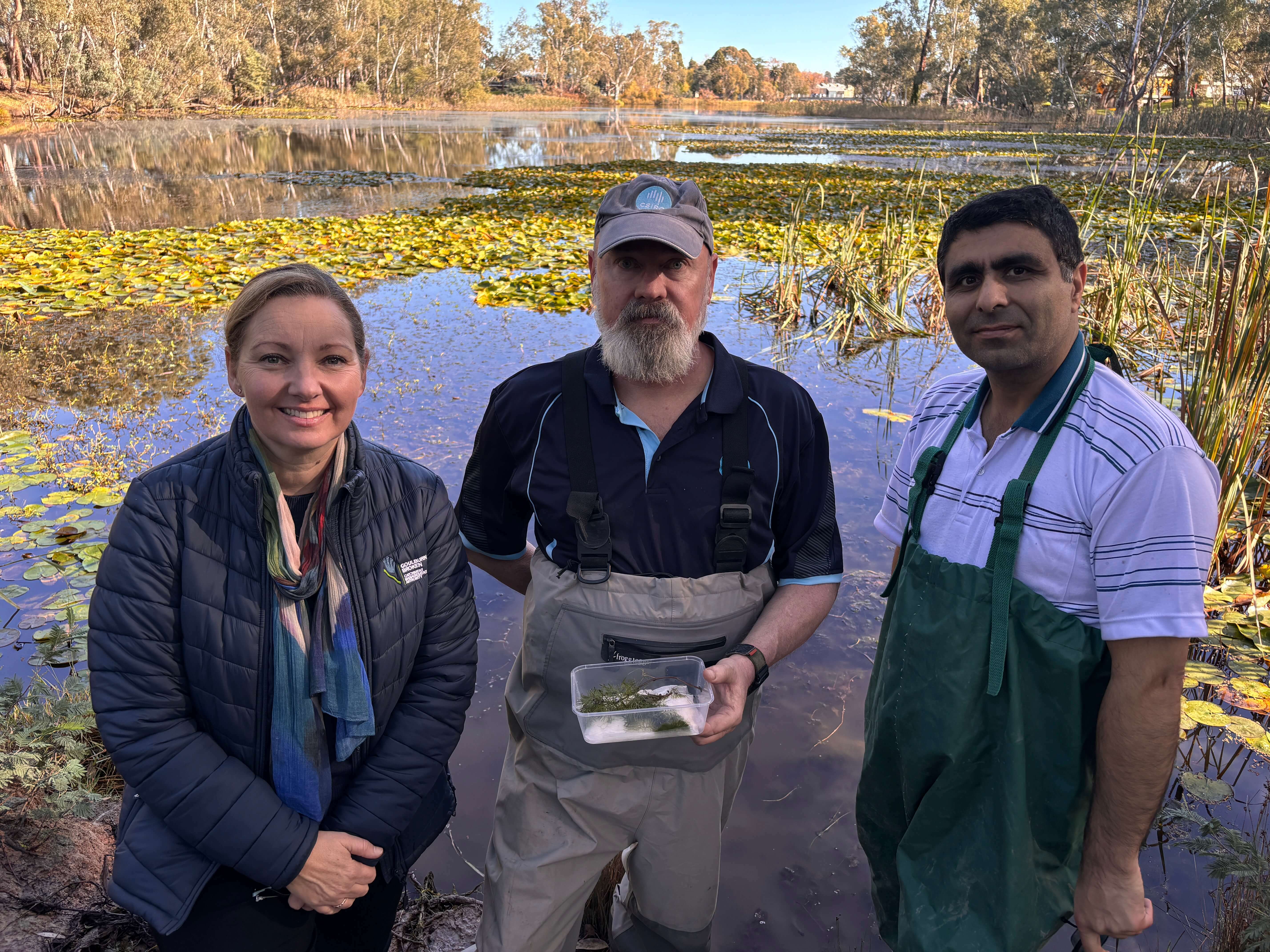 Jo Geddes (Goulburn Broken CMA), Tim Vance (CSIRO) and Dr Hasan Rahmani (Agriculture Victoria - Tatura) release the weevils at Lake Benalla.